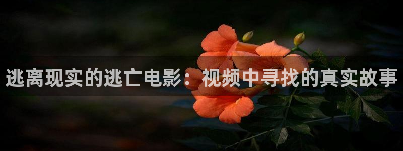 樱桃茄子视频：逃离现实的逃亡电影：视频中寻找的真实故事