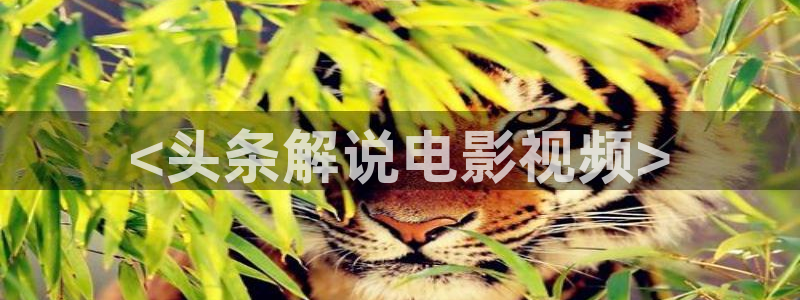 茄子视频?：<头条解说电影视频>