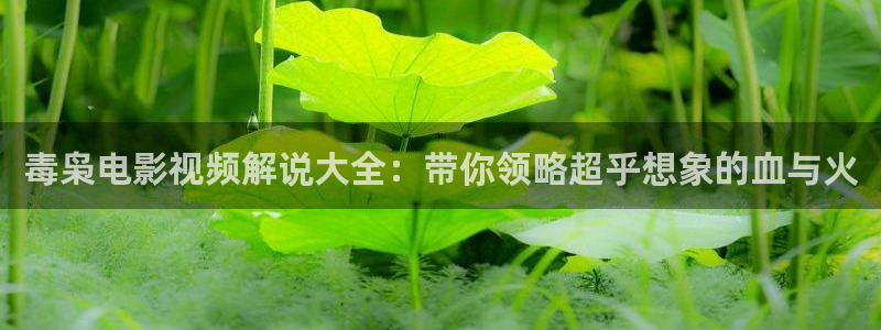 四虎茄子视频：毒枭电影视频解说大全：带你领略超乎想象的血与火
