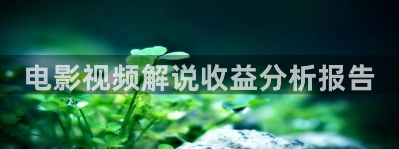 茄子视频18：电影视频解说收益分析报告