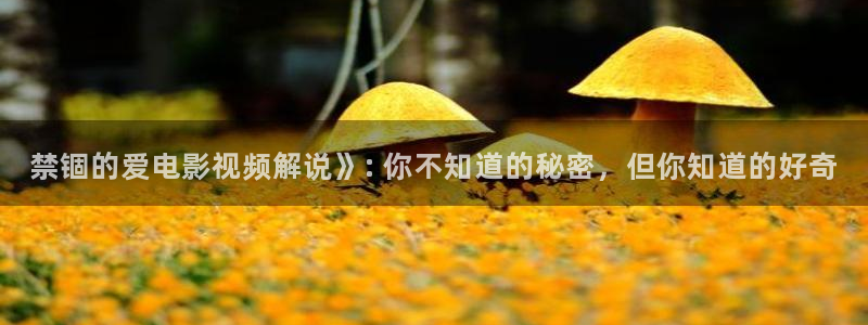 樱桃茄子视频：禁锢的爱电影视频解说》: 你不知道的秘密，但你知道的好奇