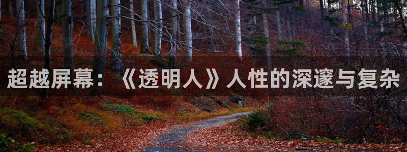 茄子视频色版：超越屏幕：《透明人》人性的深邃与复杂