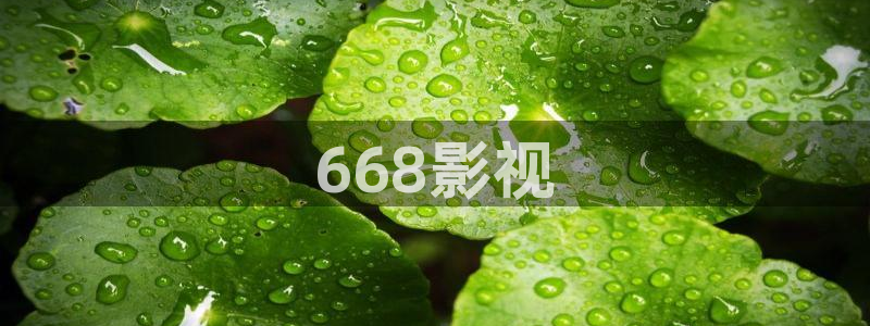 四虎茄子视频：668影视