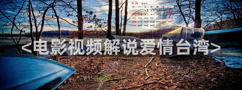 茄子视频qz：<电影视频解说爱情台湾>
