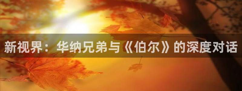 茄子视频?：新视界：华纳兄弟与《伯尔》的深度对话