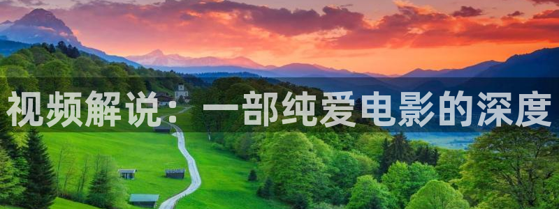 茄子视频视频