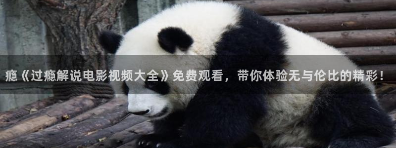 茄子视频无限看丝瓜视频丝瓜视免费观看