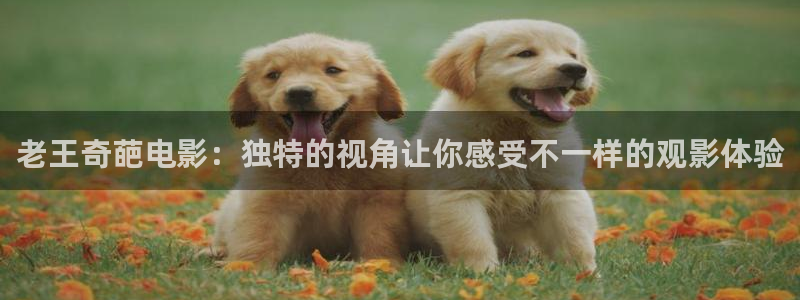茄子视频了