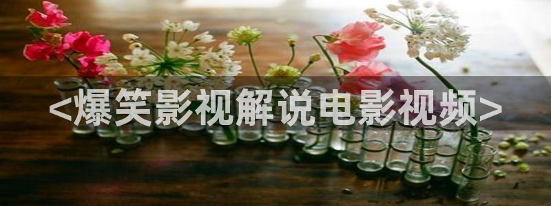 茄子视频www