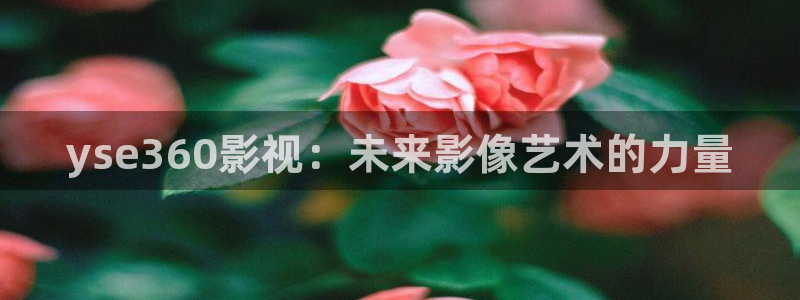 茄子视频