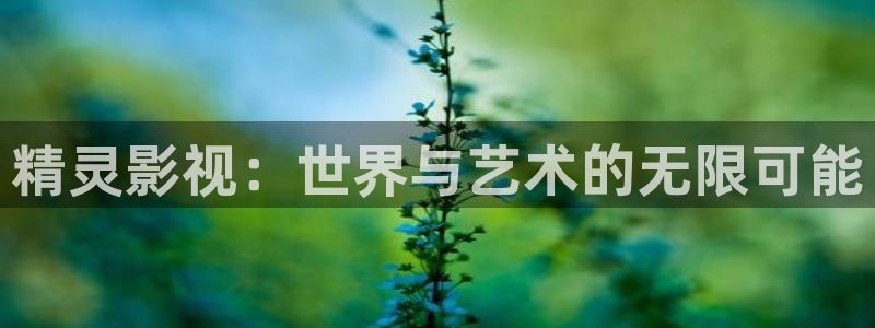 qiezi 茄子视频