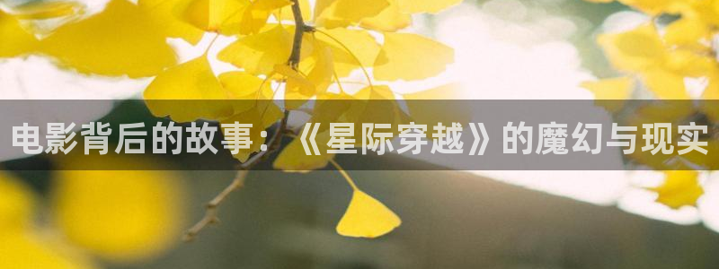 茄子视频视频