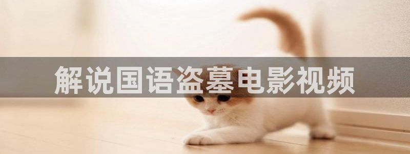 91茄子视频