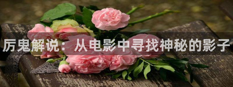 茄子视频一