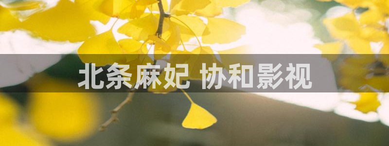 茄子视频视频