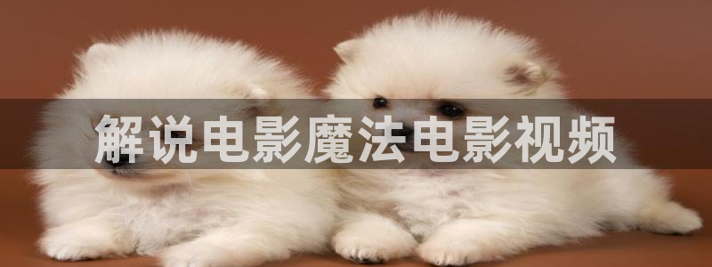 小优视频茄子视频