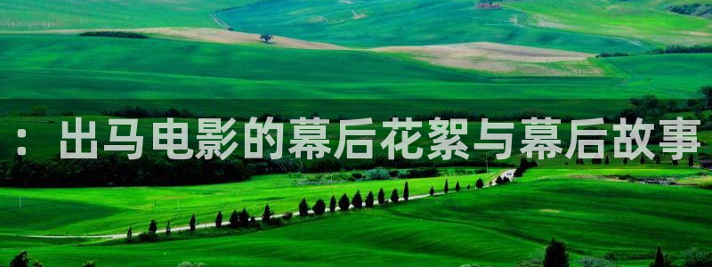 茄子视频qz