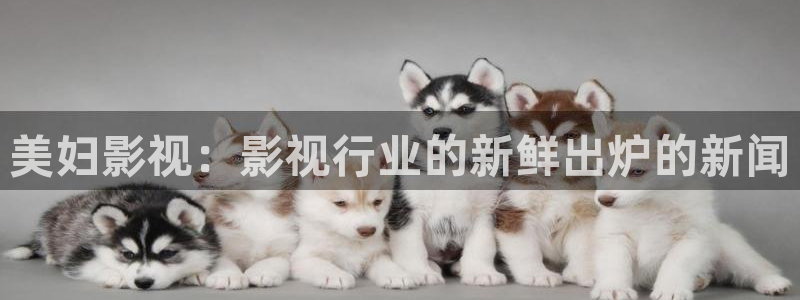 茄子视频