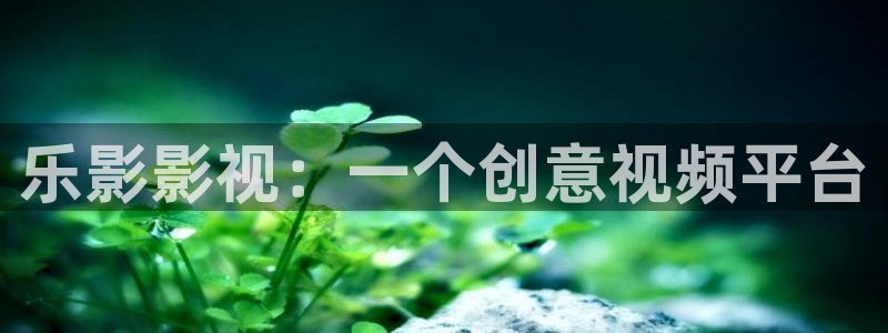 茄子视频qz