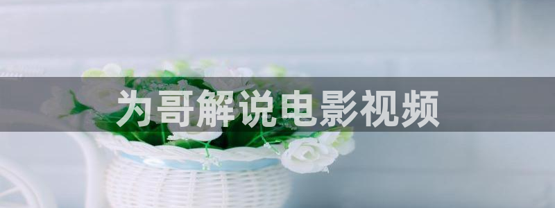 茄子视频了