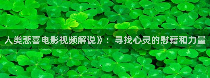 茄子视频