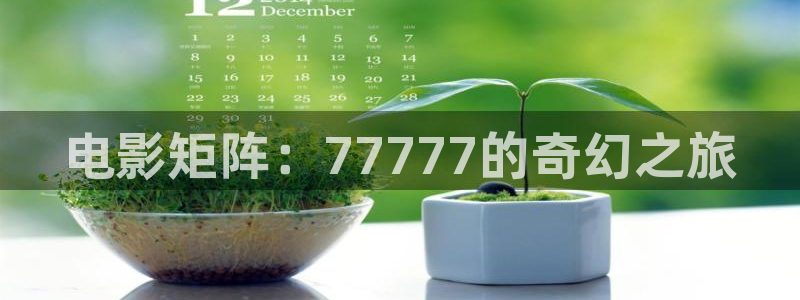 丝瓜茄子视频在线观看